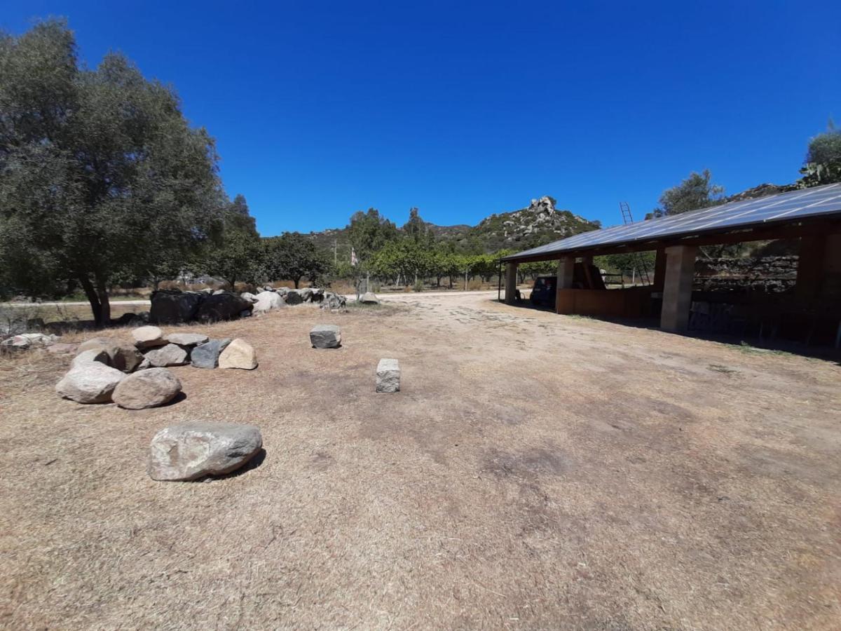 S'Imbragu Farm B&B Tortolì Εξωτερικό φωτογραφία