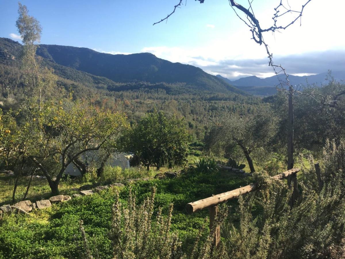 S'Imbragu Farm B&B Tortolì Εξωτερικό φωτογραφία