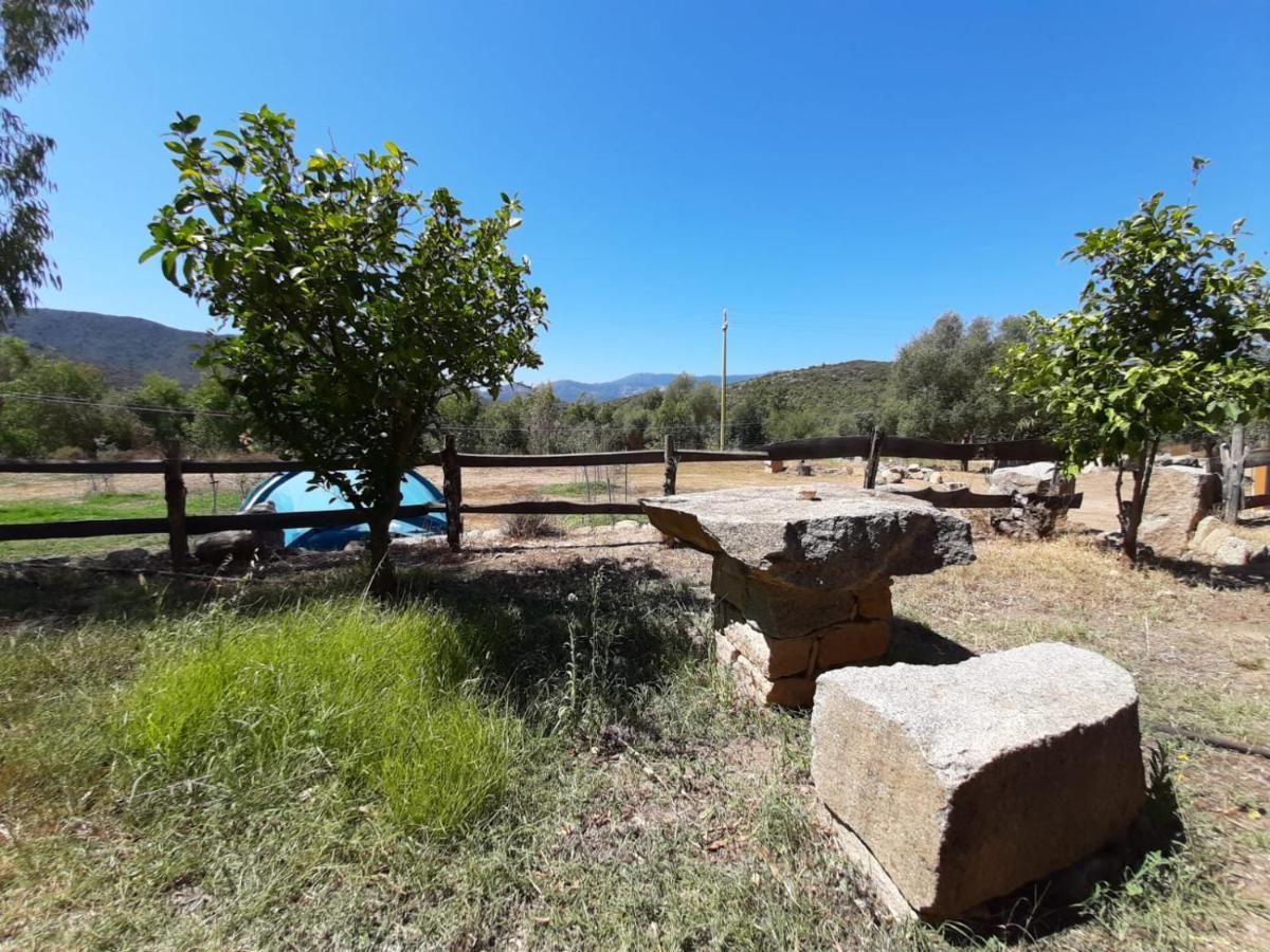S'Imbragu Farm B&B Tortolì Εξωτερικό φωτογραφία