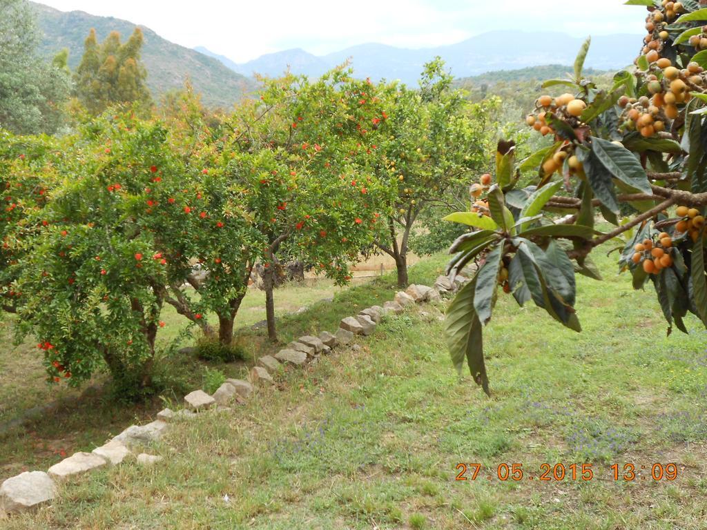 S'Imbragu Farm B&B Tortolì Εξωτερικό φωτογραφία