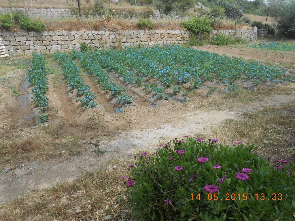 S'Imbragu Farm B&B Tortolì Εξωτερικό φωτογραφία