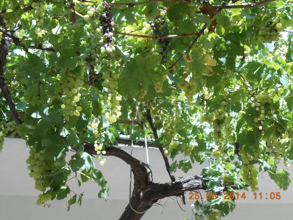 S'Imbragu Farm B&B Tortolì Εξωτερικό φωτογραφία