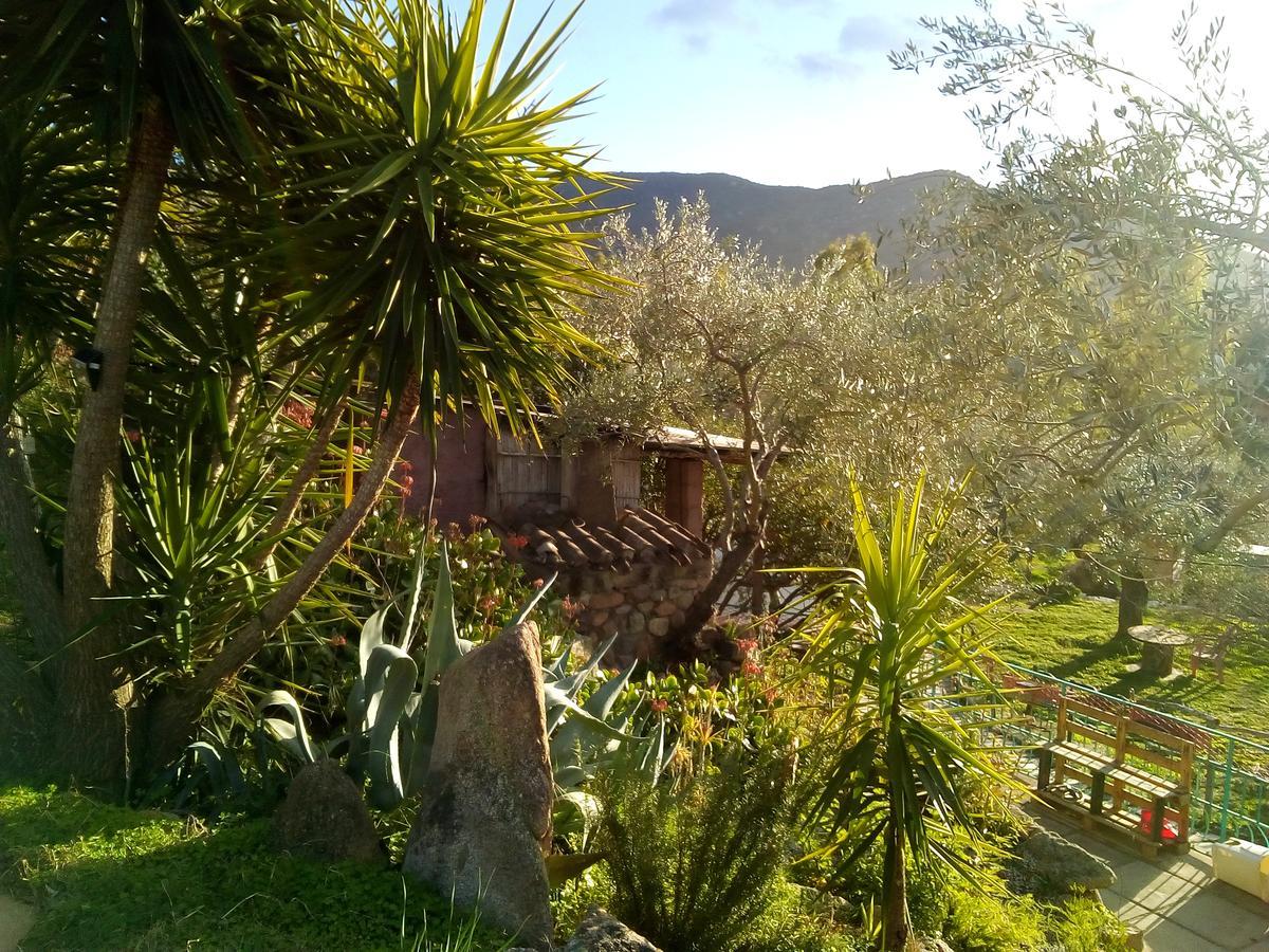 S'Imbragu Farm B&B Tortolì Εξωτερικό φωτογραφία