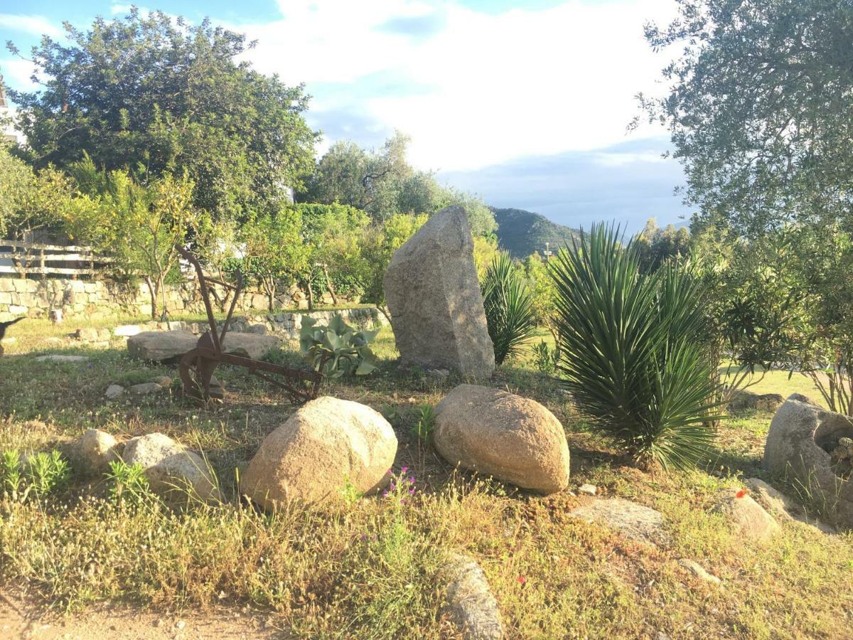 S'Imbragu Farm B&B Tortolì Εξωτερικό φωτογραφία