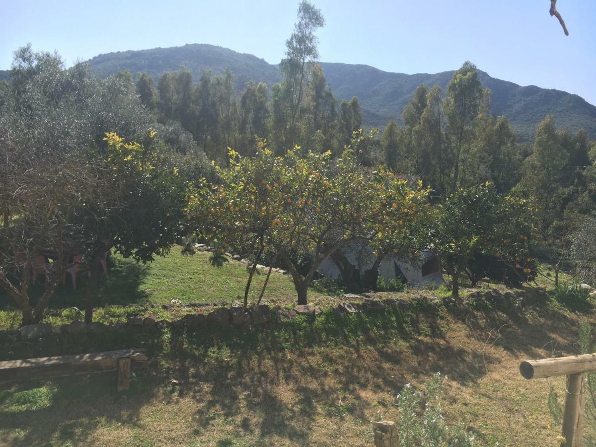 S'Imbragu Farm B&B Tortolì Εξωτερικό φωτογραφία