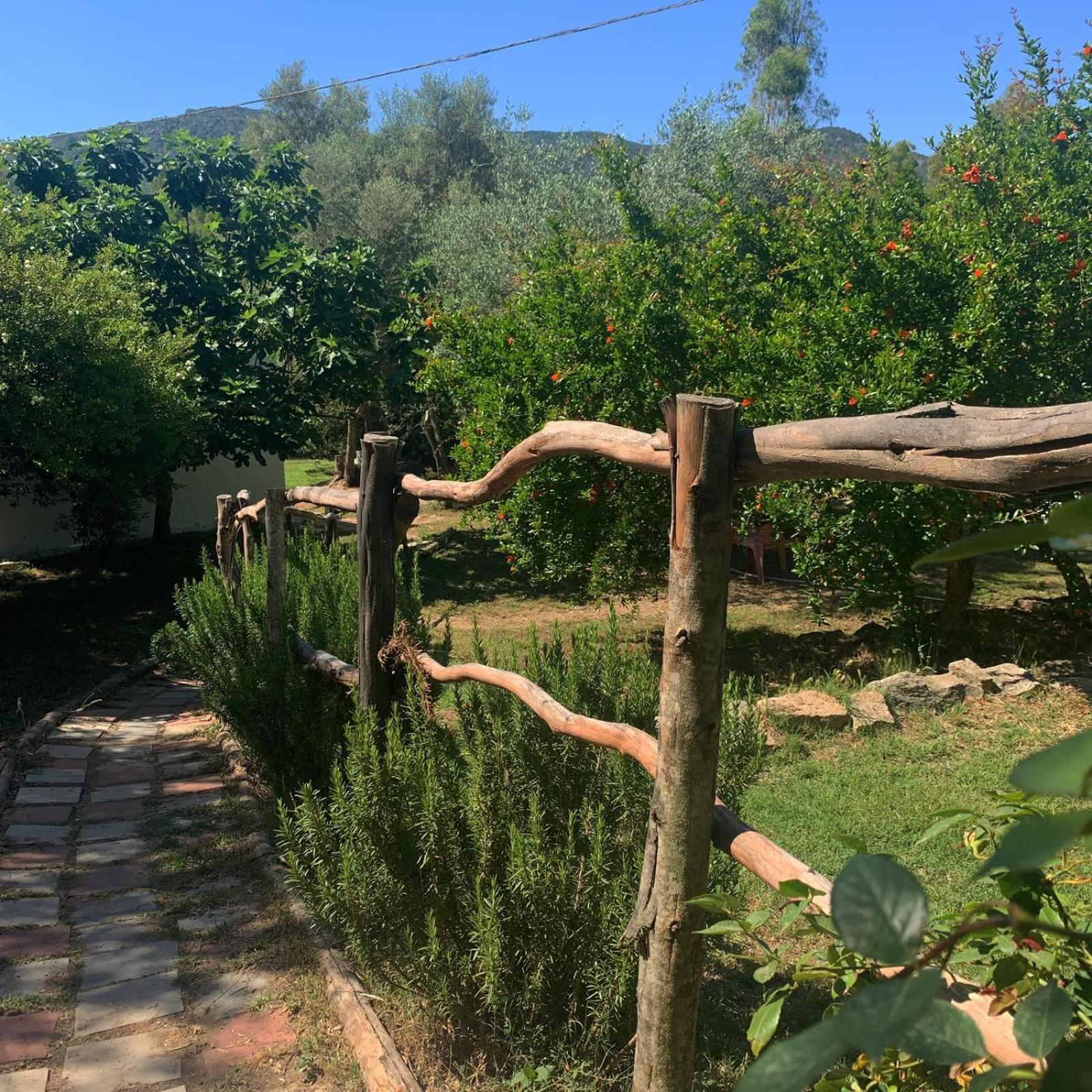 S'Imbragu Farm B&B Tortolì Εξωτερικό φωτογραφία
