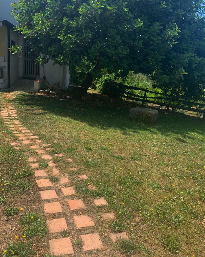 S'Imbragu Farm B&B Tortolì Εξωτερικό φωτογραφία