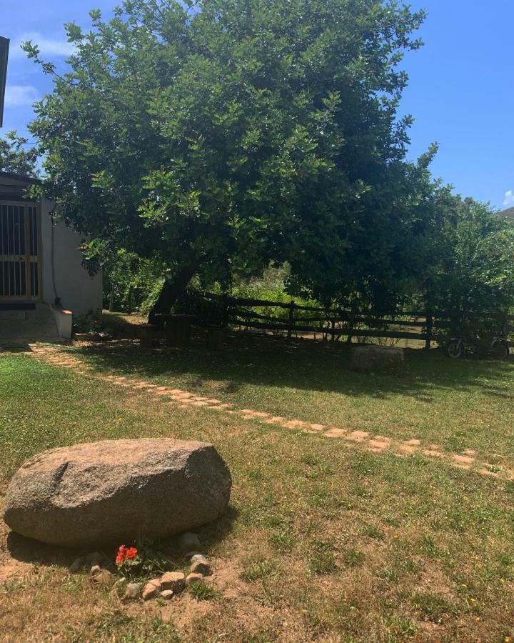S'Imbragu Farm B&B Tortolì Εξωτερικό φωτογραφία